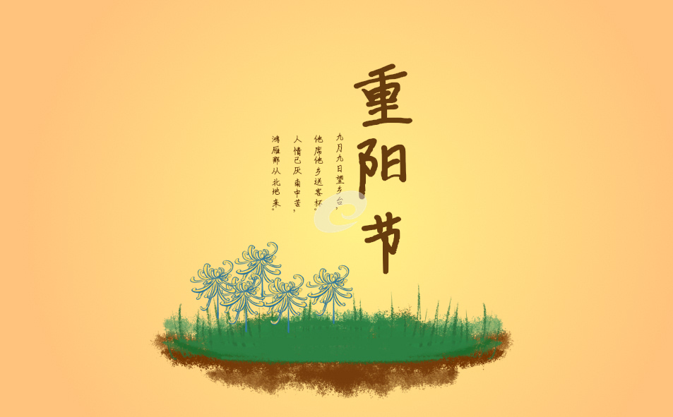 重陽(yáng)節(jié)的總結(jié)