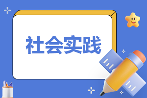 800字實踐總結報告(精選3篇)