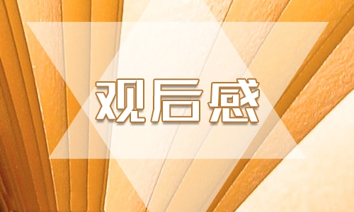 2023把青春寫(xiě)在祖國(guó)大地上有感作文11篇