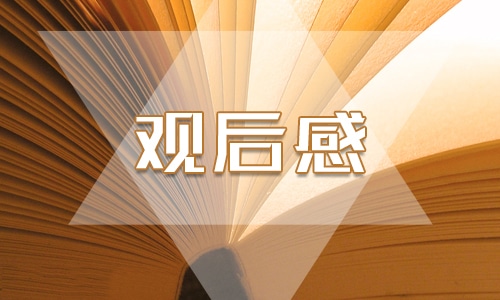 交通安全觀后感300字優秀作文