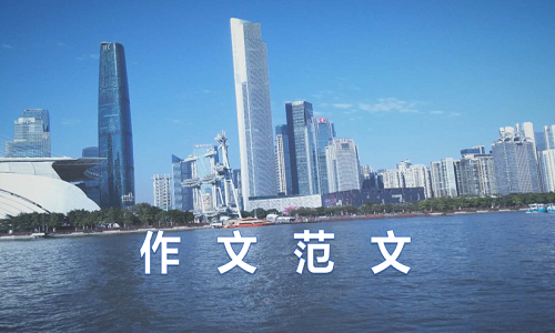 這個假期我學會了什么初二作文600字