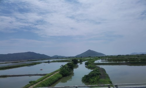 山西太原男子開水燙懷孕母貓事件